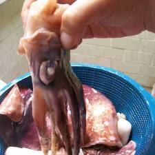 Cara Memasak SOTONG ASAM MANIS PEDAS
